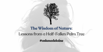 The Wisdom of Nature: Lessons from a Half-Fallen Palm Tree